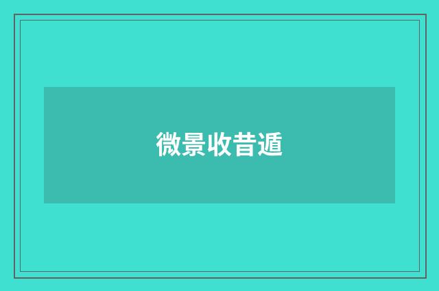 微景收昔遁