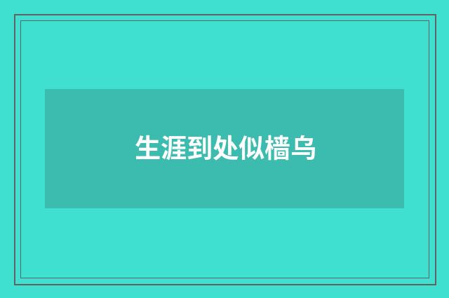 生涯到处似樯乌