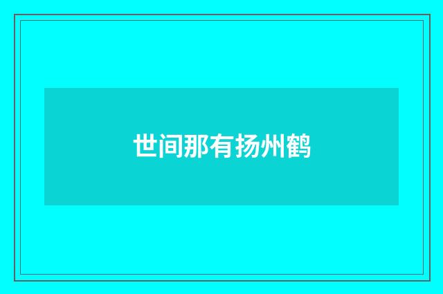 世间那有扬州鹤