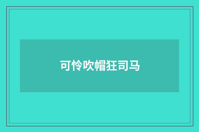 可怜吹帽狂司马