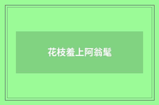 花枝羞上阿翁髦