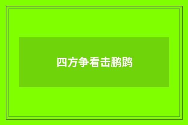 四方争看击鹏鹍