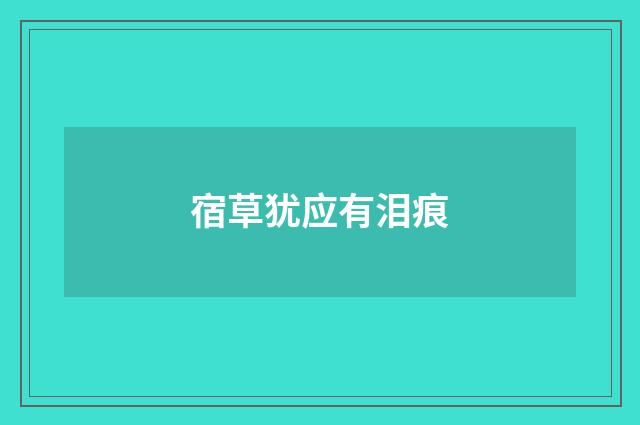 宿草犹应有泪痕