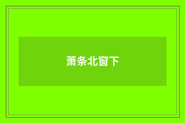 萧条北窗下