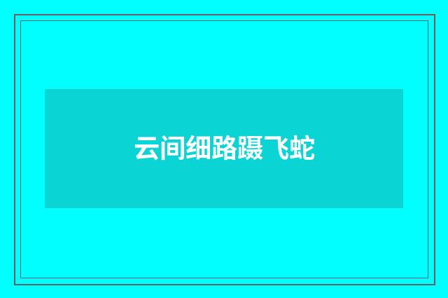 云间细路蹑飞蛇