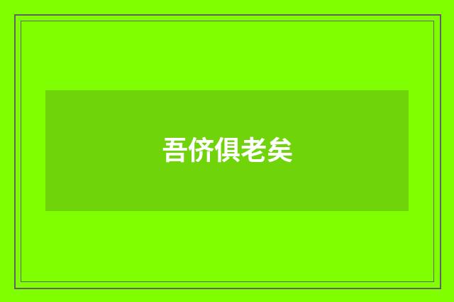 吾侪俱老矣