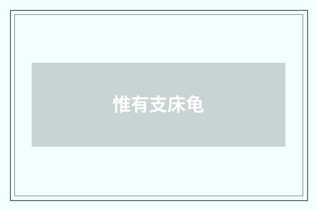 惟有支床龟