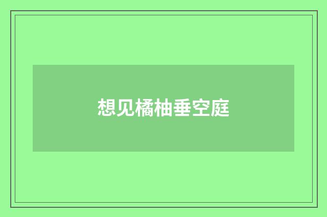 想见橘柚垂空庭