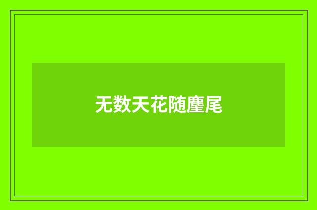 无数天花随麈尾