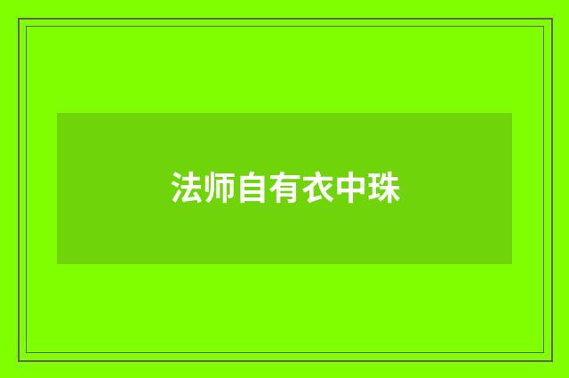 法师自有衣中珠