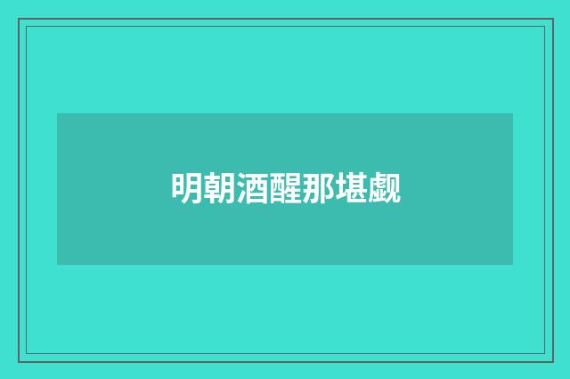 明朝酒醒那堪觑