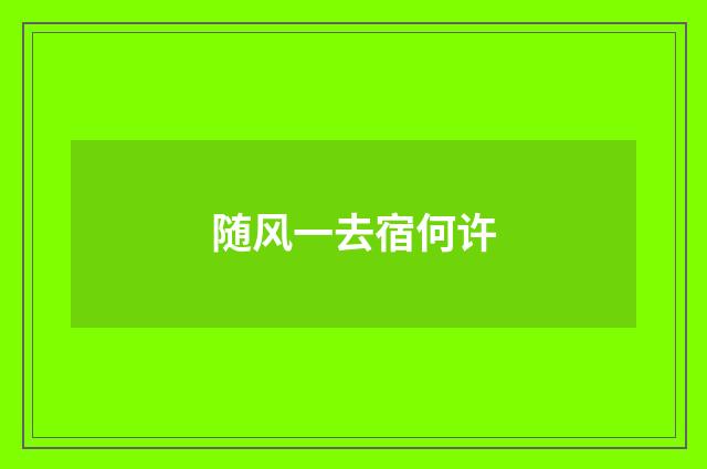 随风一去宿何许