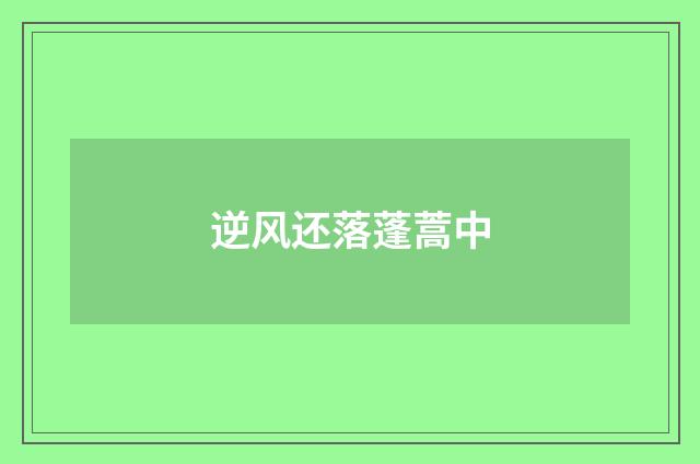 逆风还落蓬蒿中