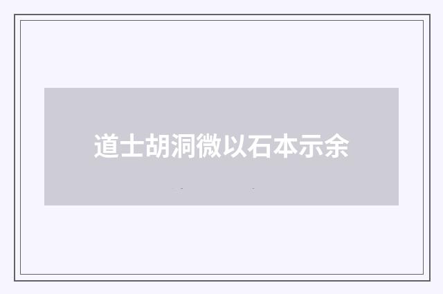 道士胡洞微以石本示余