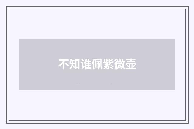 不知谁佩紫微壶