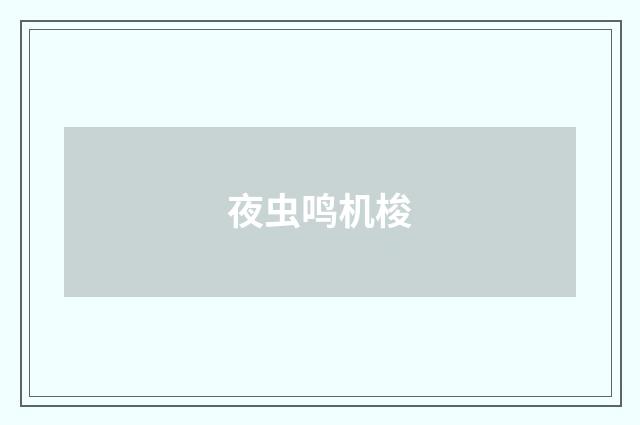 夜虫鸣机梭
