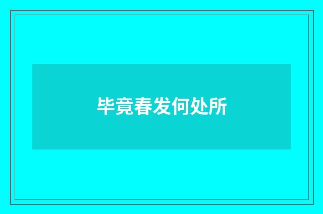 毕竟春发何处所