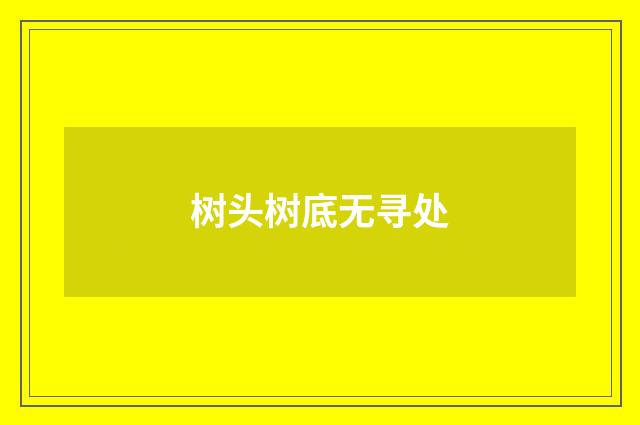 树头树底无寻处