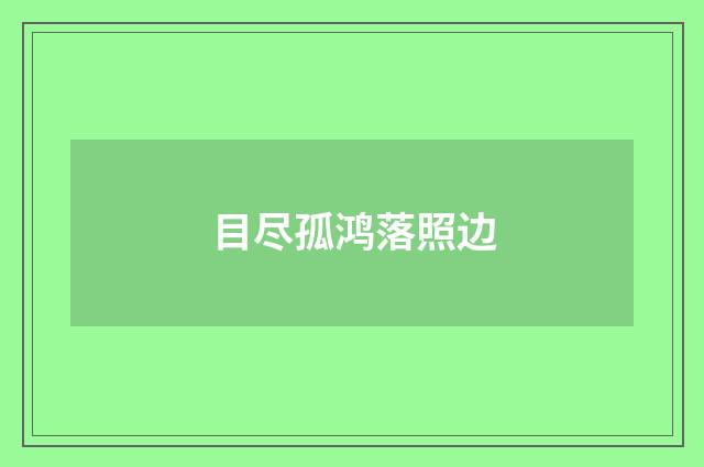 目尽孤鸿落照边