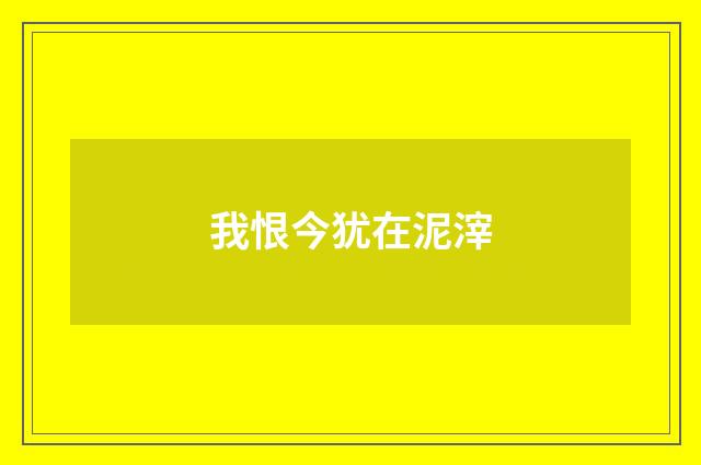 我恨今犹在泥滓