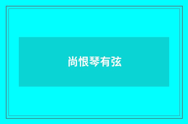 尚恨琴有弦