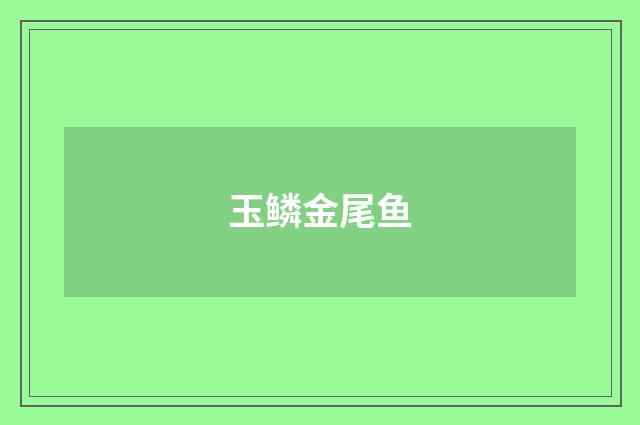 玉鳞金尾鱼