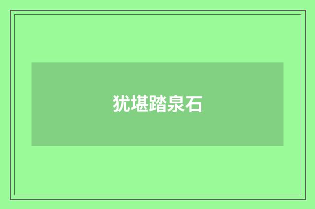 犹堪踏泉石