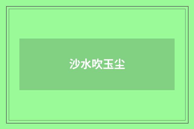 沙水吹玉尘
