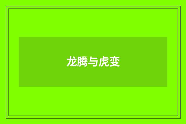 龙腾与虎变