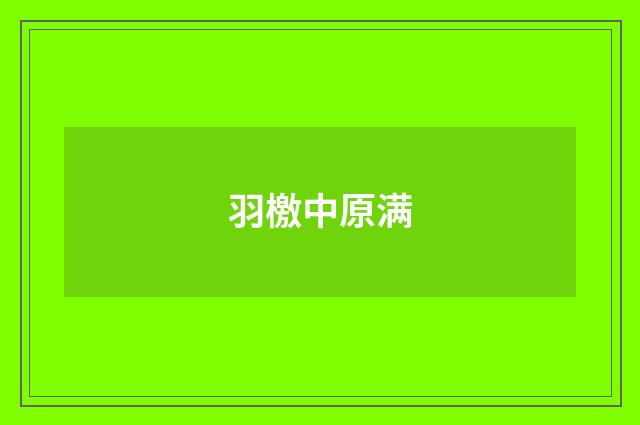 羽檄中原满