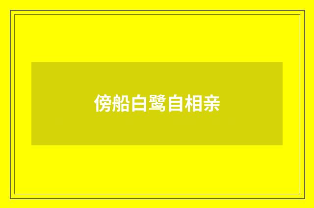 傍船白鹭自相亲