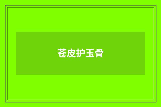 苍皮护玉骨