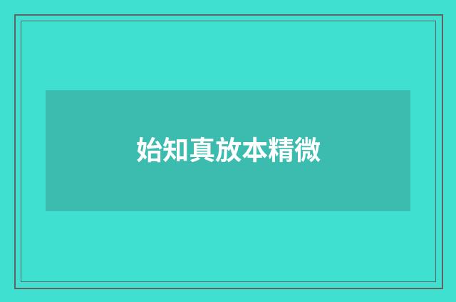始知真放本精微