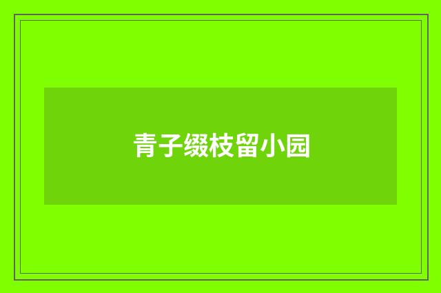 青子缀枝留小园