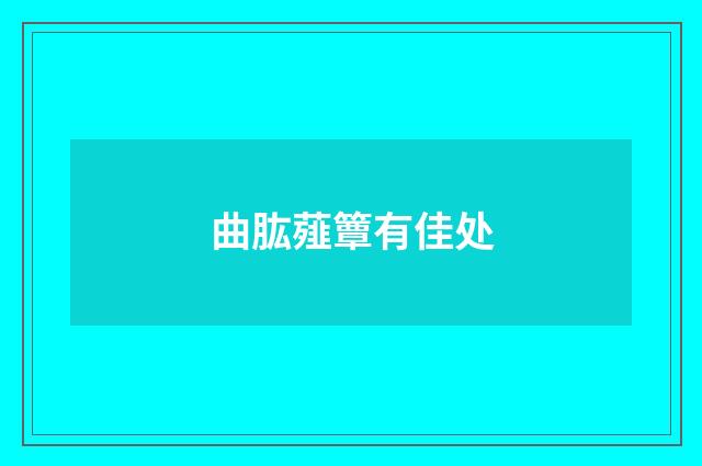 曲肱薤簟有佳处