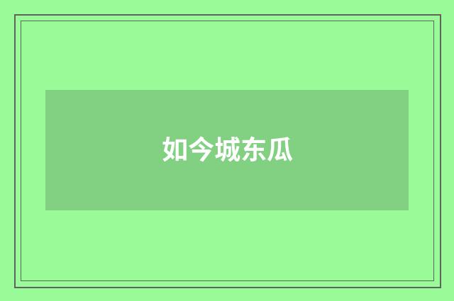 如今城东瓜