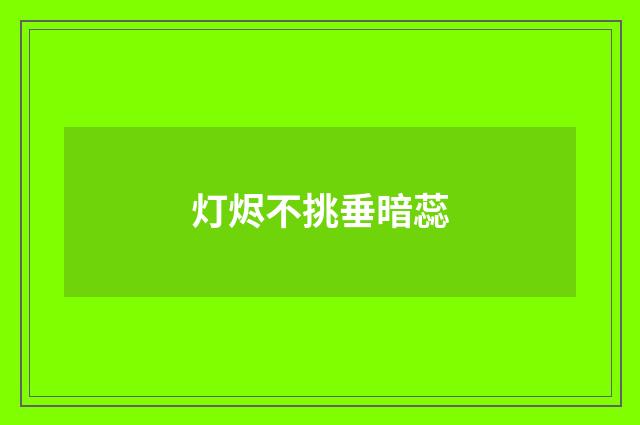 灯烬不挑垂暗蕊