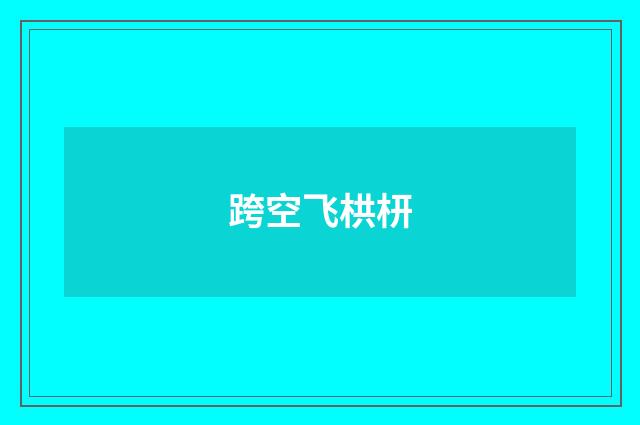 跨空飞栱枅