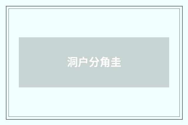 洞户分角圭