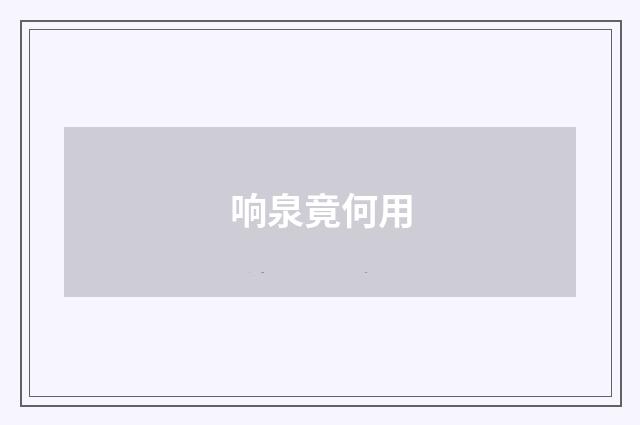 响泉竟何用