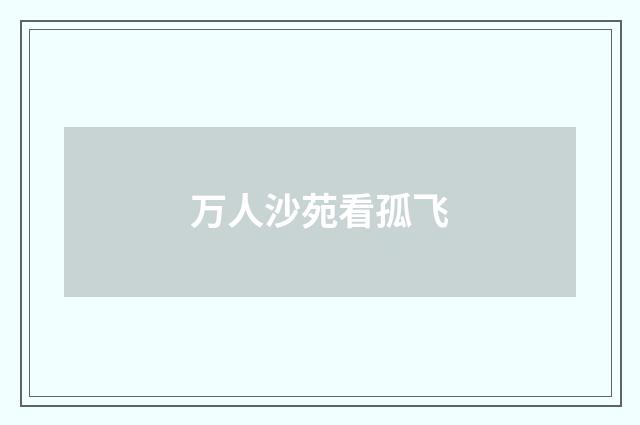 万人沙苑看孤飞