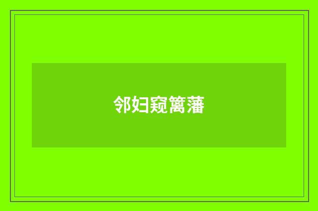 邻妇窥篱藩