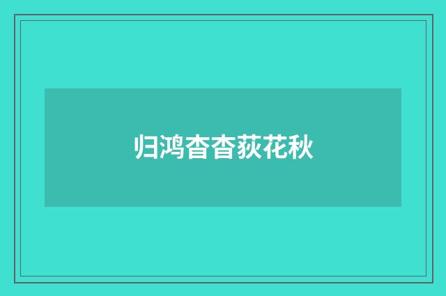 归鸿杳杳荻花秋