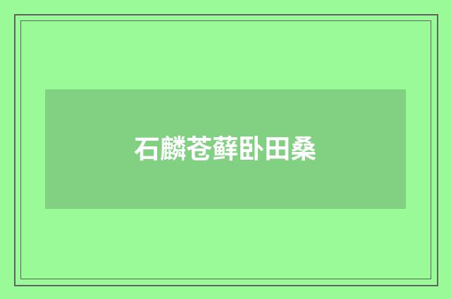 石麟苍藓卧田桑