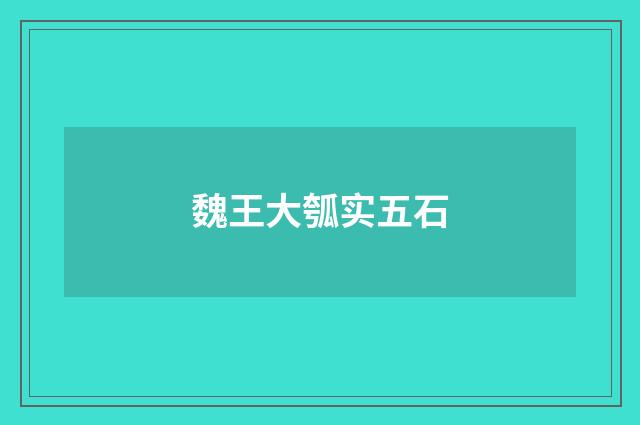 魏王大瓠实五石