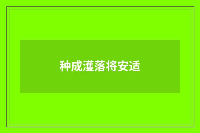种成濩落将安适