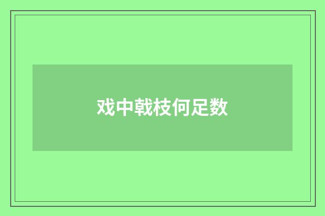 戏中戟枝何足数