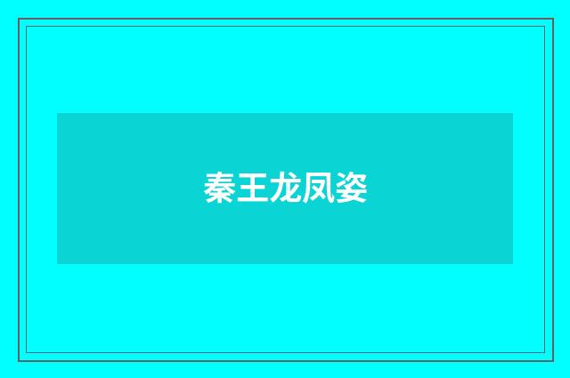 秦王龙凤姿