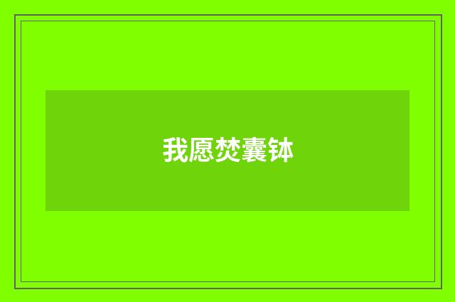 我愿焚囊钵
