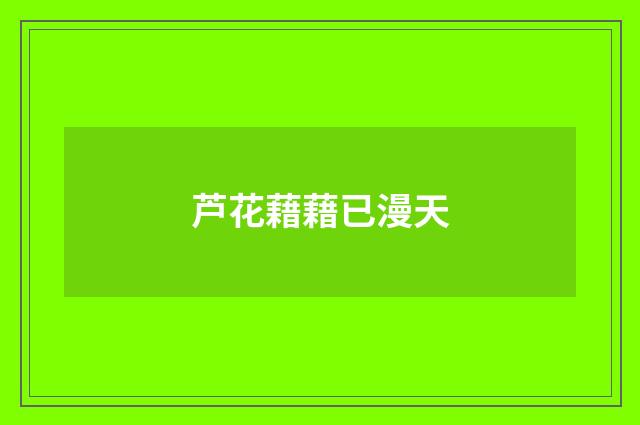 芦花藉藉已漫天